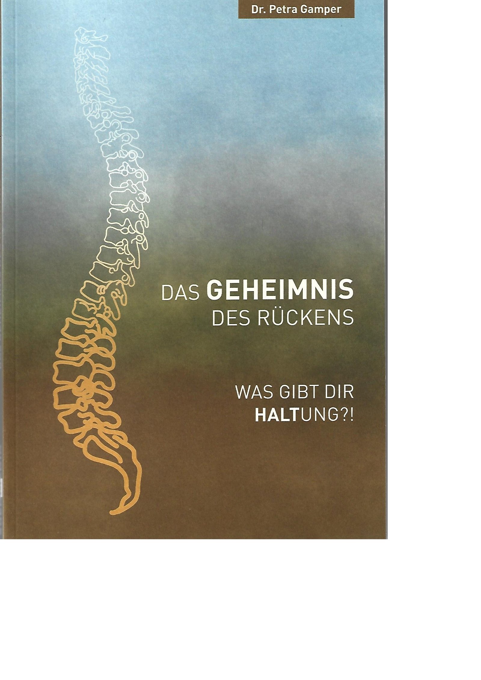 Buchcover Das Geheimnis des Rückens